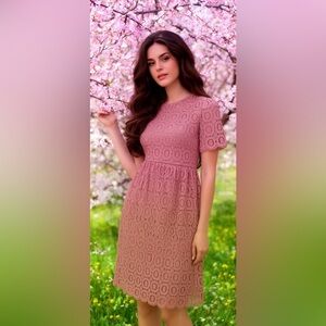 Mauve Rose Lace Scalloped Chick Dress NWT